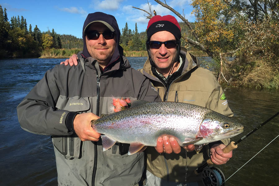 Lake Illiama Rainbow Trout