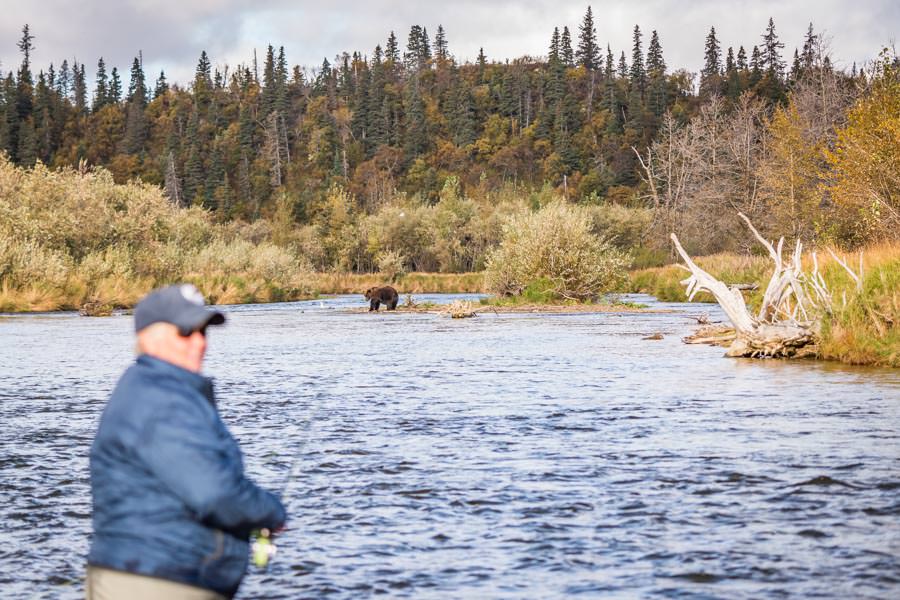 bear in alaska