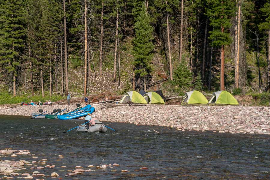 Camp South Fork of the Flathead