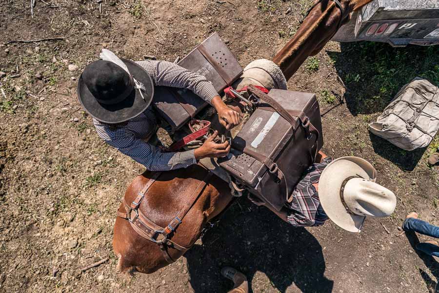 Bob Marshall Horse Pack