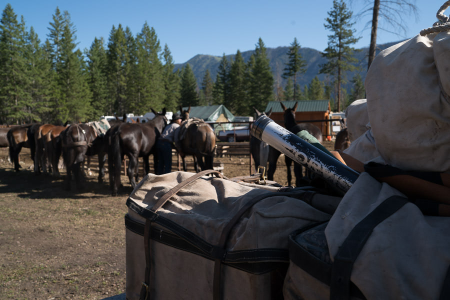 Bob Marshall Wilderness Pack Team