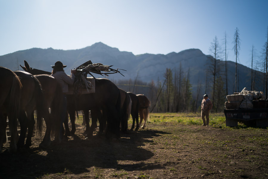 Horse Pack Fly Fishing Trip