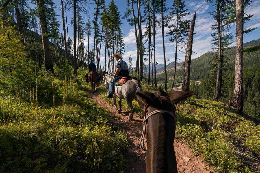 Horse Pack Trip Bob Marshall Wilderness