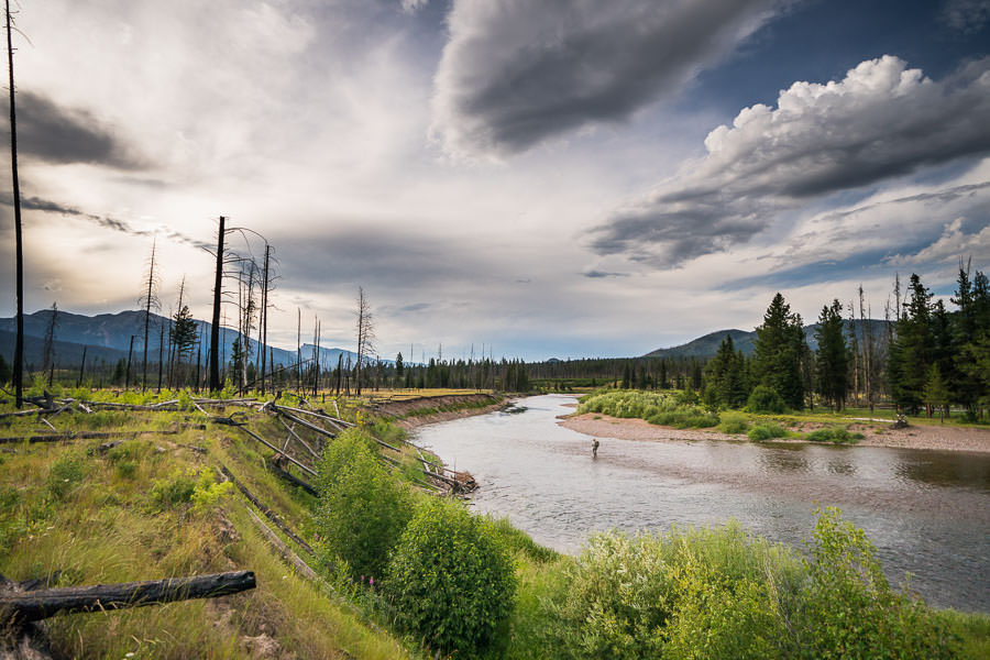 Wade fishing South Fork of the Flathead river