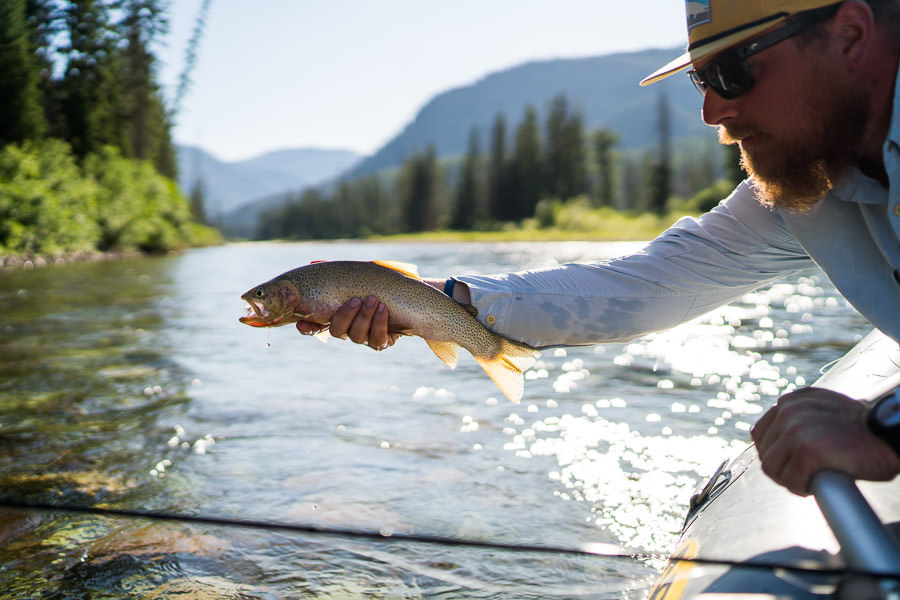 Dry Fly Fishing South Fork Flathead Cutthroat