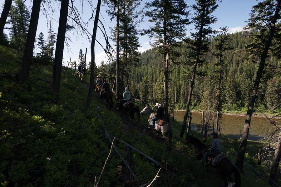 Horse Pack Trip Bob Marshall Wilderness