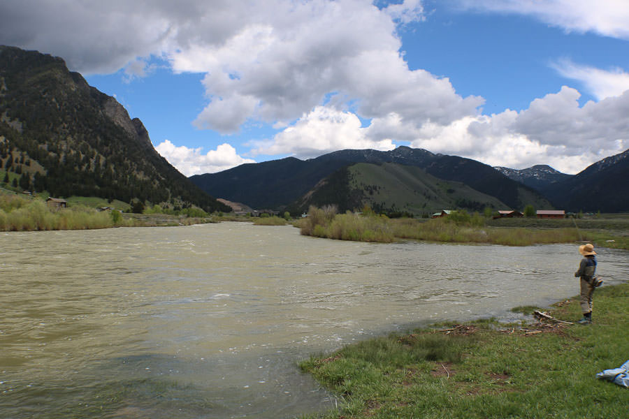 Madison flows at Quake Lake This photo was taken just upstream of Raynold's bridge. High flows might add 6" so in most locations you need to wade. Upstream of this photo is all private land. There is also a large and deep eddy just above this photo that is difficult to cross. The heavy willows remove any legal bank travel as an option. At these floats using a boat to get from spot to spot is critical for access. Photo courtesy Nate Stevane, Montana Trout on the Fly