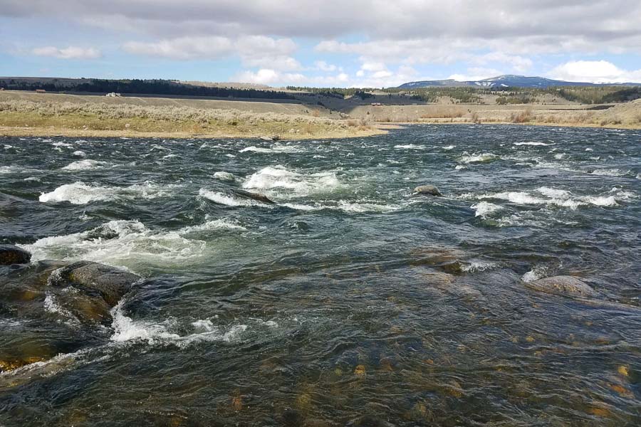 4 Keys to Success When Fishing the Madison River in Early June