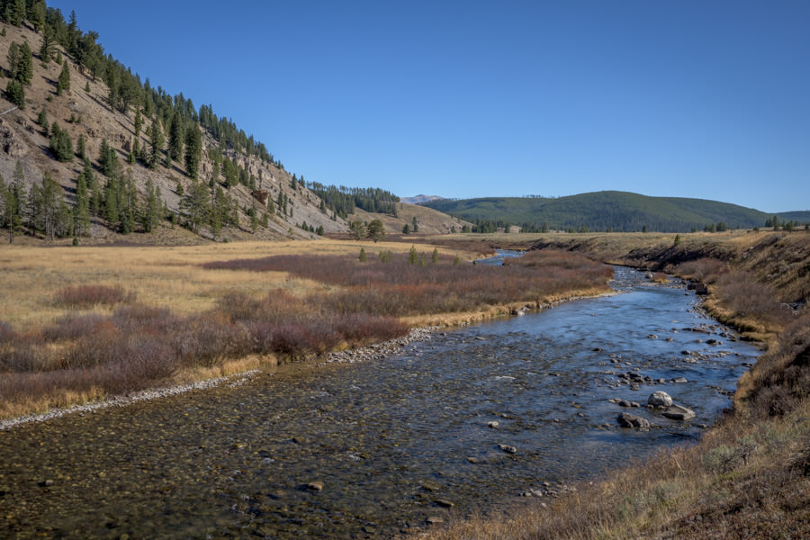 yellowstone park fly fishing Gallatin River fly fishing trips