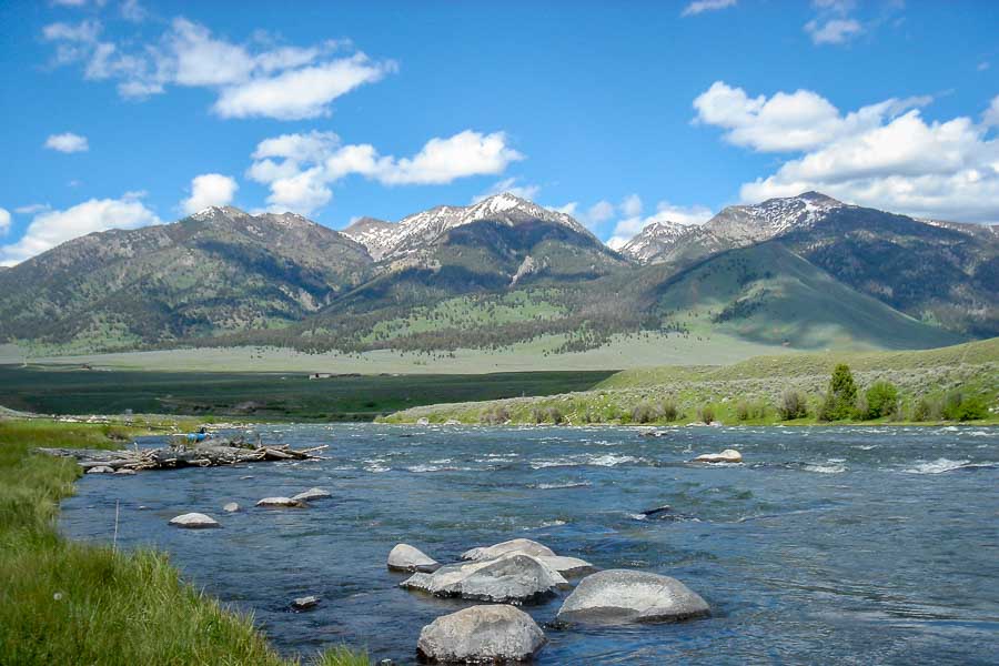 Montana Angler, Montana Fly Fishing