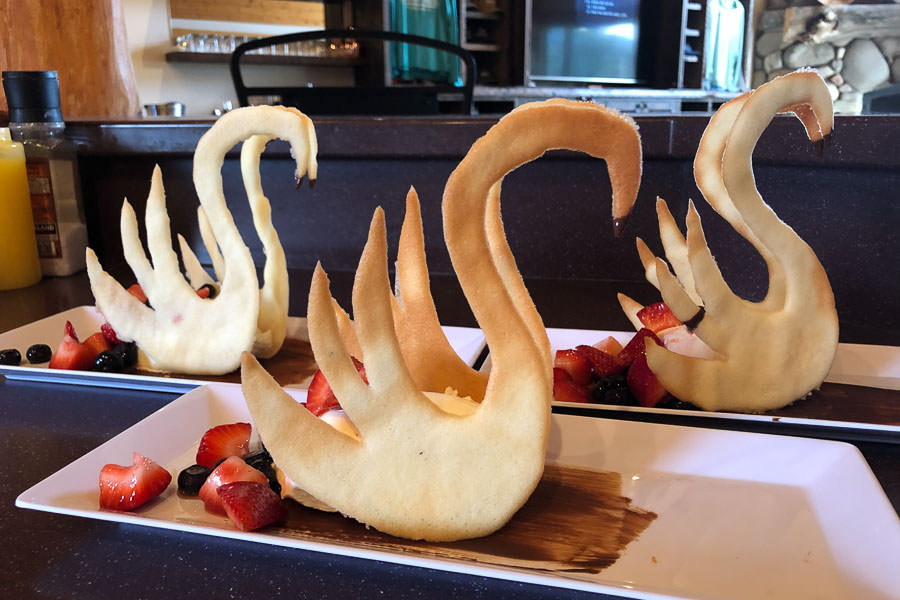 Madison River fishing trips