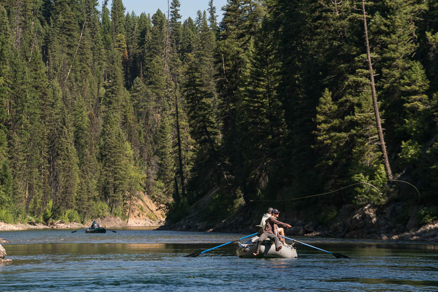 fly fishing montana