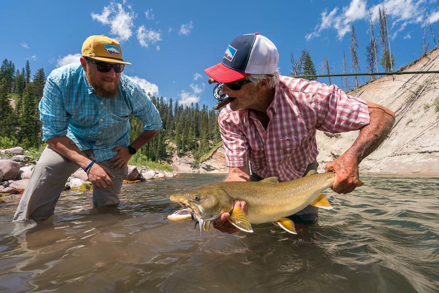 bull trout in MT