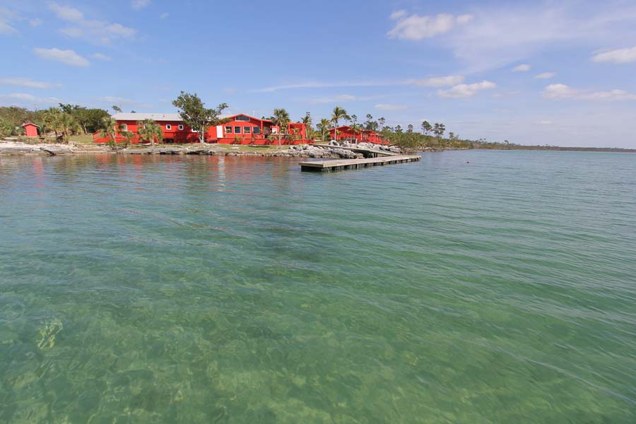 Bahamas Fly Fishing Trips