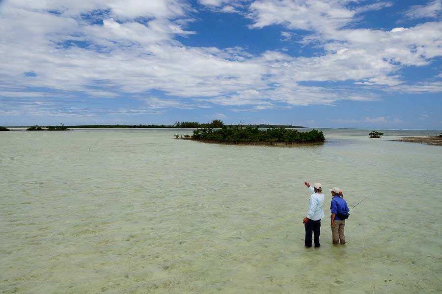 Montana Angler Fishing Trips