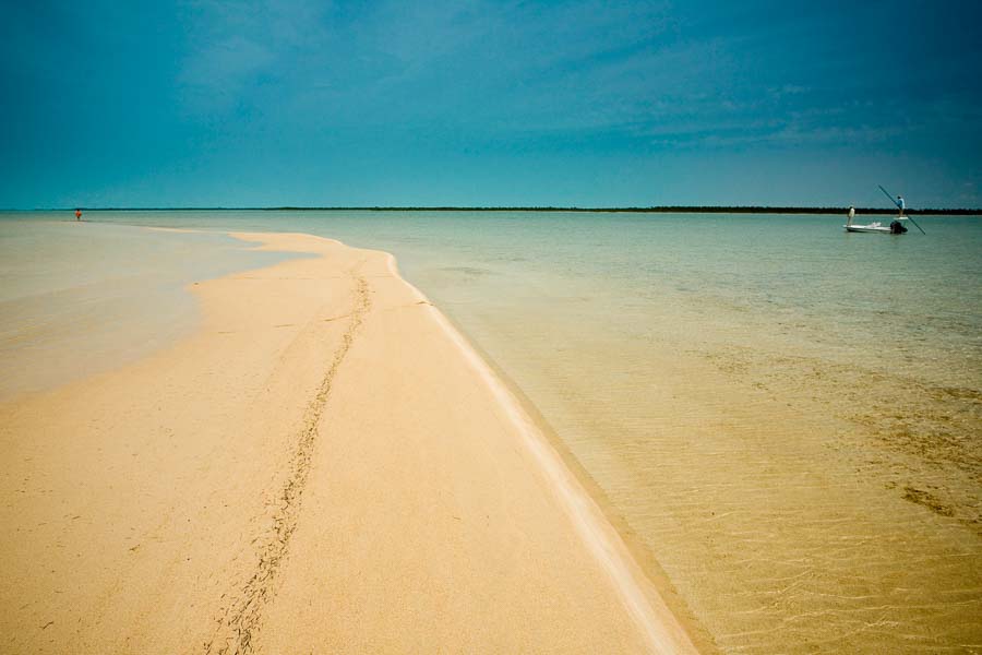 Montana Angler Fly Fishing Trips