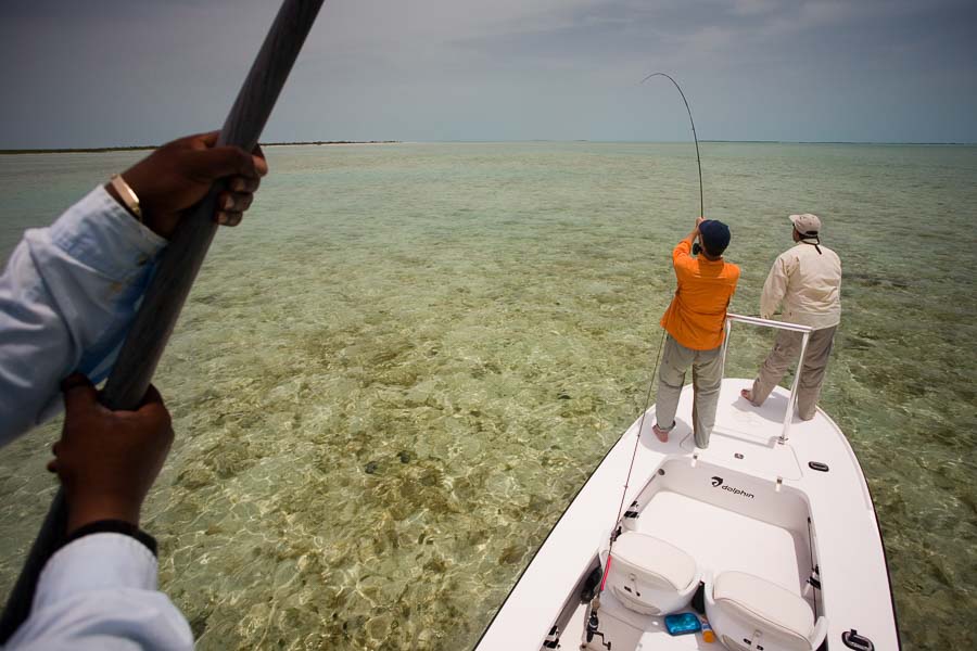 International Fly Fishing Bahamas