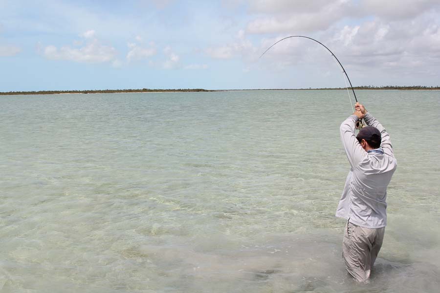 Montana Angler Fly Fishing Travel