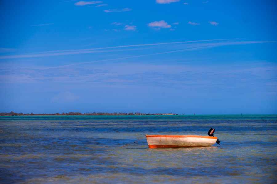 Andros Island Bahamas Hosted saltwater trips