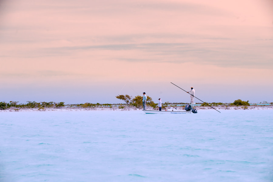 bahamas guided fishing tirps andros guided fishing trips