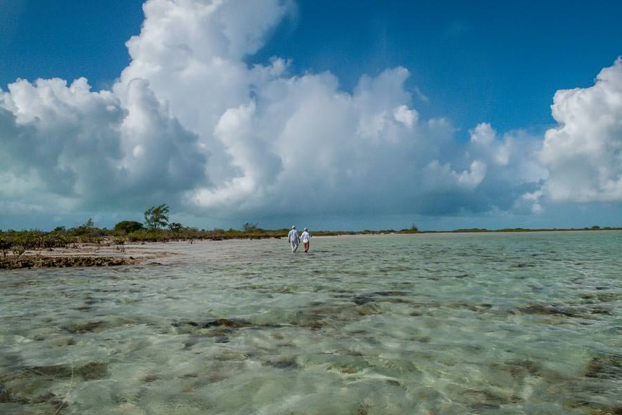 wade fishing bonefish