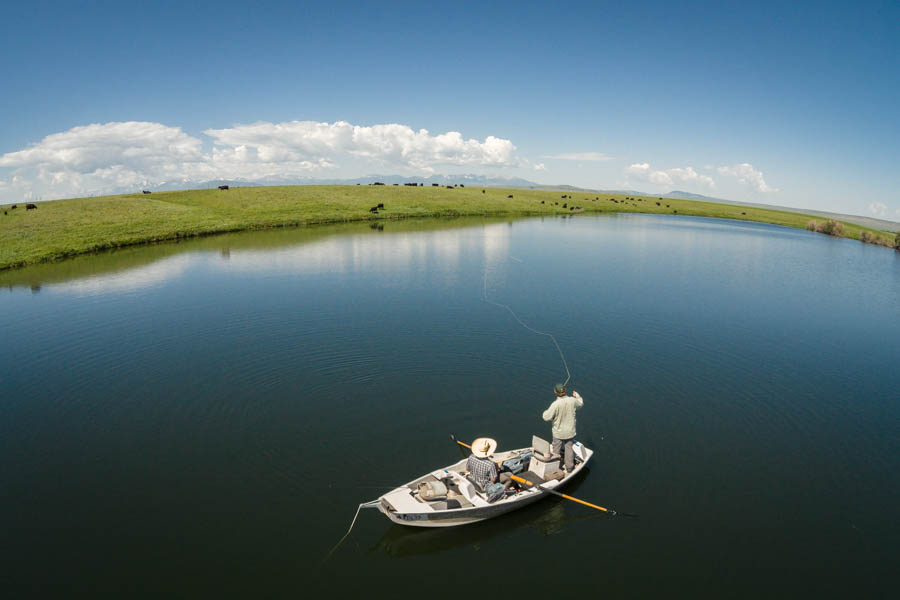 Montana Fly Fishing, Montana Angler