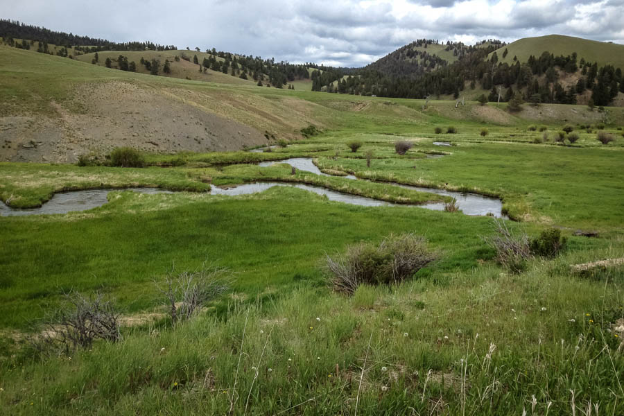 Montana Fly Fishing, Montana Private Water