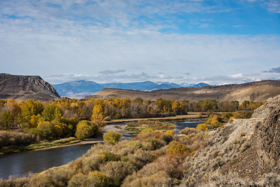 Montana Fly Fishing, Montana Angler
