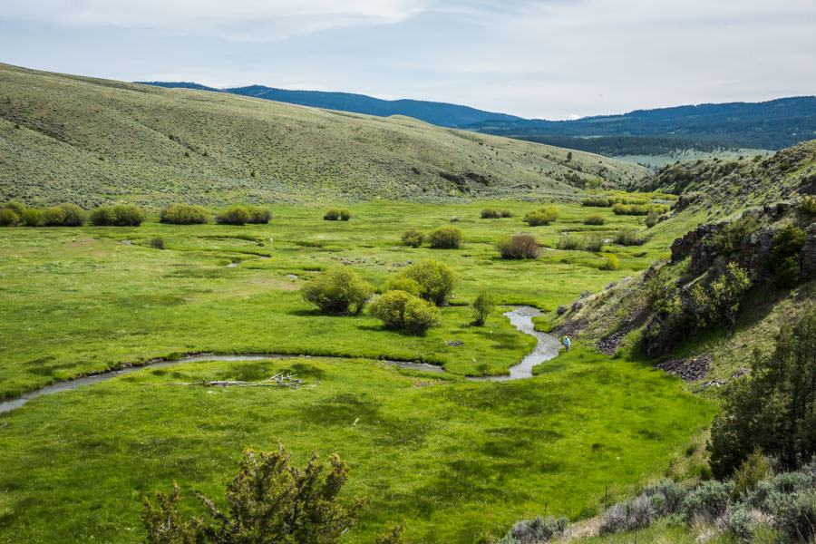 Montana Fly Fishing, Montana Fishing Guides