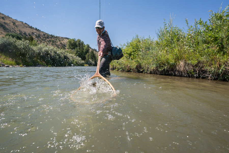 Montana fly fishing in runoff can be exception if you know where to be "Fish position drastically changes with peak flows. As energetically driven creatures the trout flock to areas of refuge. Most trout refugee camps are found along the banks as the river rages by..."