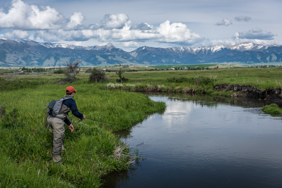 Montana's smaller wade fishing streams offer anglers thousands of miles of unique waters