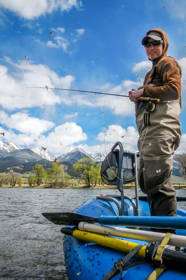 The epic Mother's Day caddis hatch on the Yellowstone River