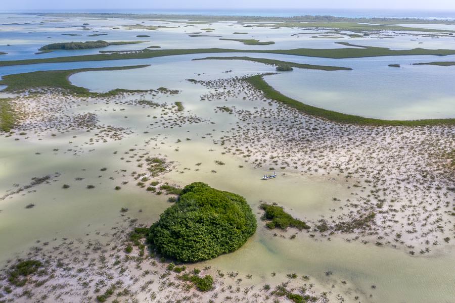 flats system in Ascension Bay The lagoons and flats of Ascension Bay are truly vast. Anglers can enjoy vast sand flats, protected lagoons, ocean side reef flats, and mangrove laden creeks. The variety of habitat results in a variety of game fish to pursue