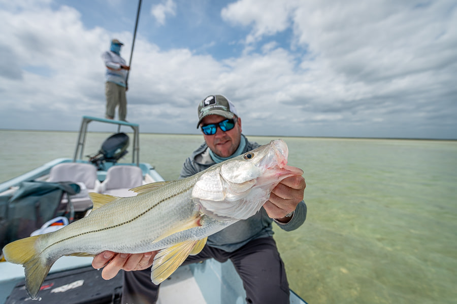Snook After numerous tries we finally connected on a decent snook. We saw and hooked some much bigger fish that were less photogenic