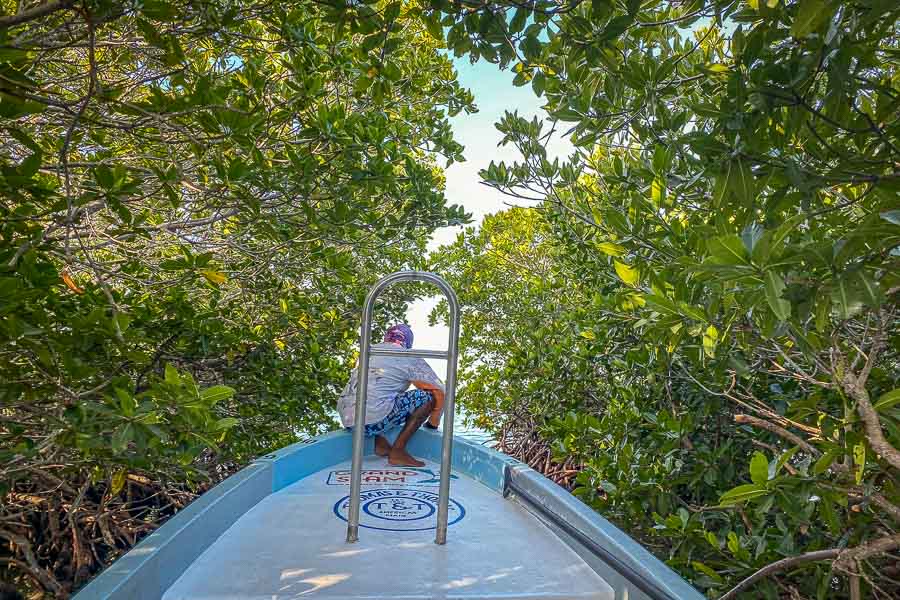 Pushing through a mangrove tunnel in search of hidden waters