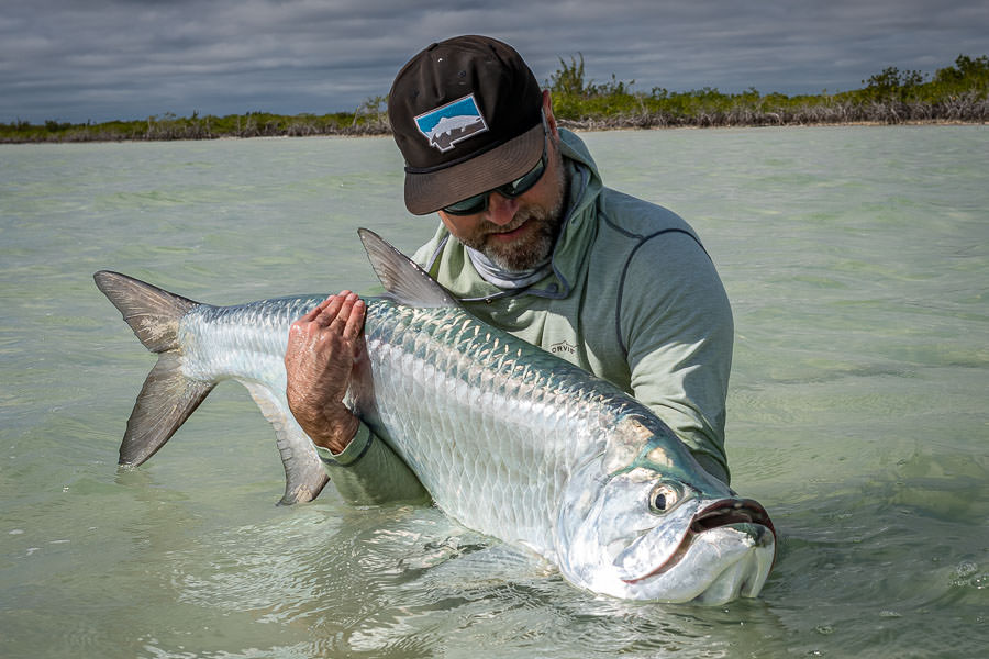 big Mexican tarpon Tarpon are simply an amazing fish. This big fish came in hot and I was lucky to get a fly in front of him. Watching a 70lb tarpon tail walking into the distance is one of the ultimate adrenaline rushes one can experience in our sport