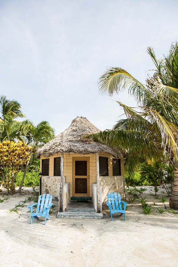 Palapa