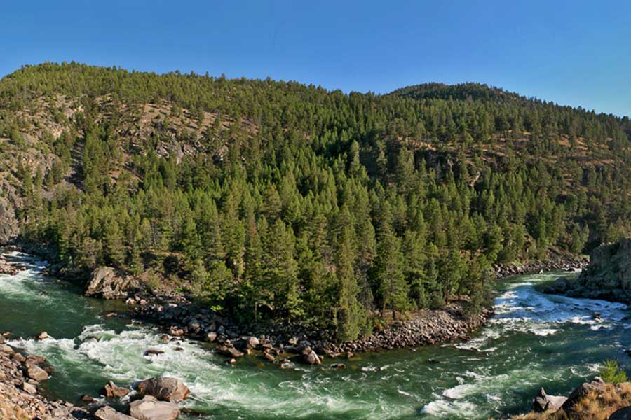 scenery on yellowstone river