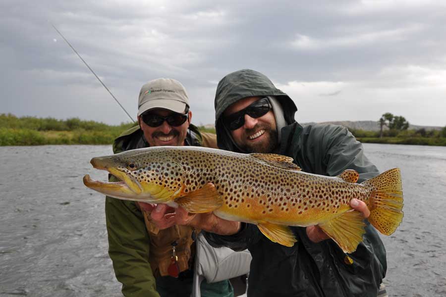 Big browns love bad weather. This heavy fish came out of the woodwork on a rainy and cold mid summer day after weeks of sunny and hot weather