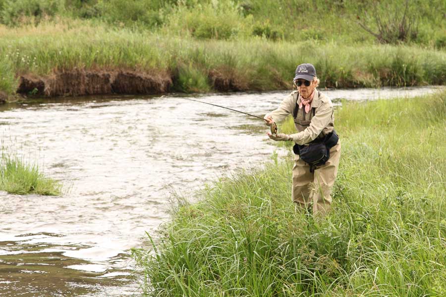 fishing for trout in montana
