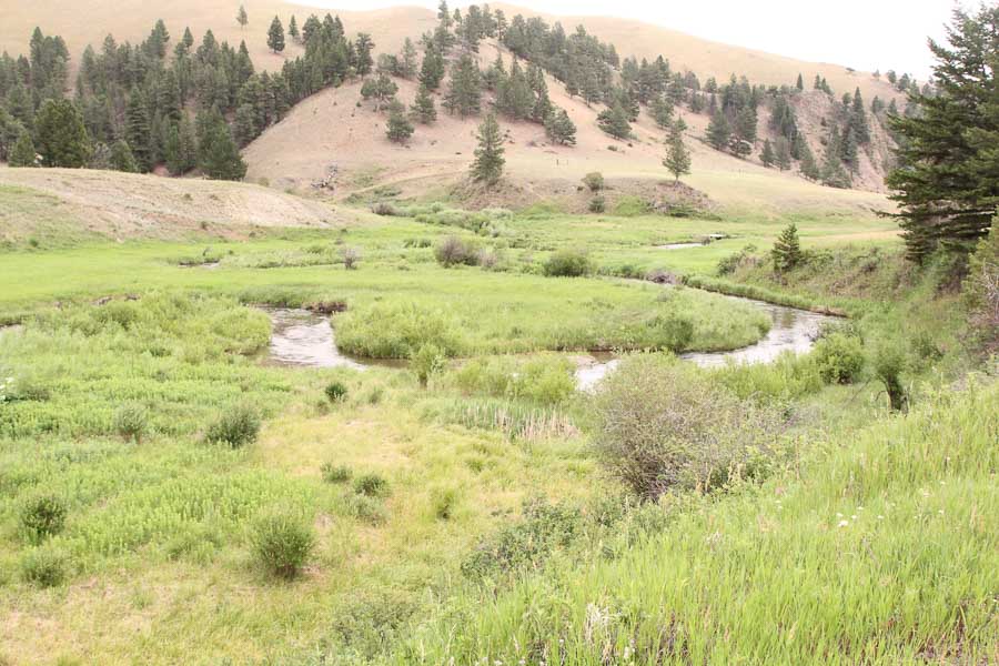 musselshell river scenery