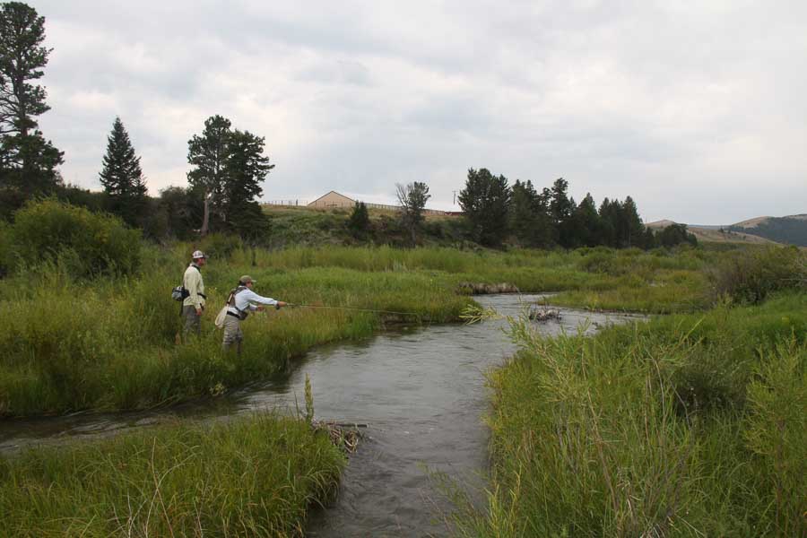 montana fishing