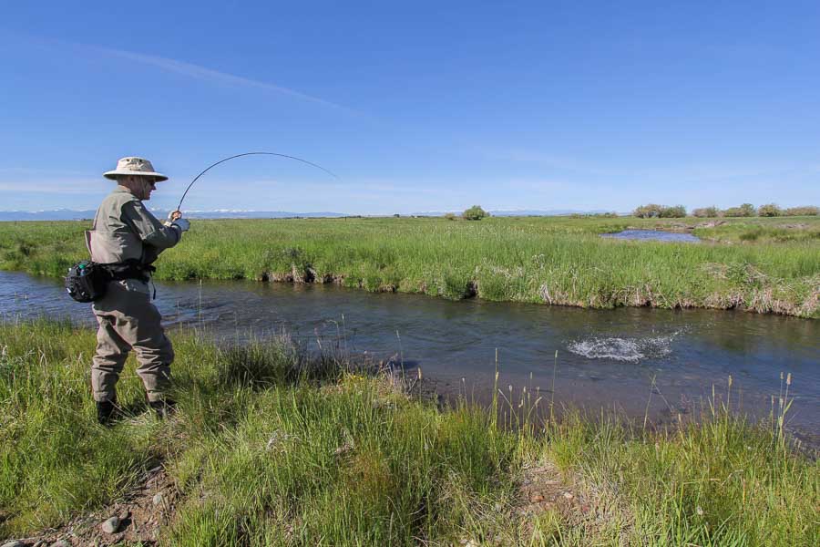 fly fishing trips montana