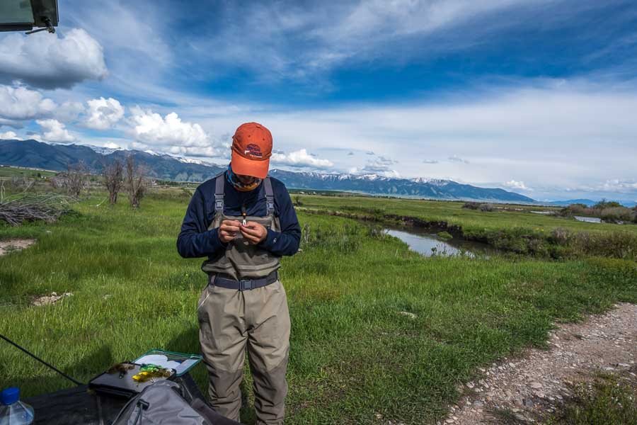 montana fly fishing