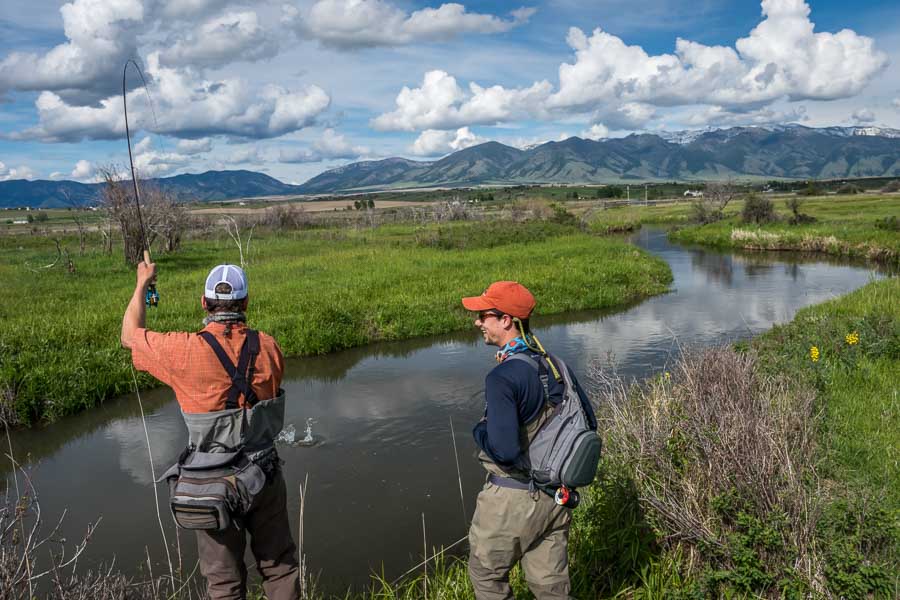 guided montana fishing
