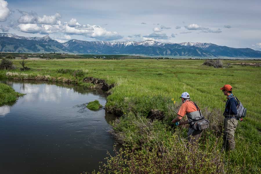 trout fishing montana