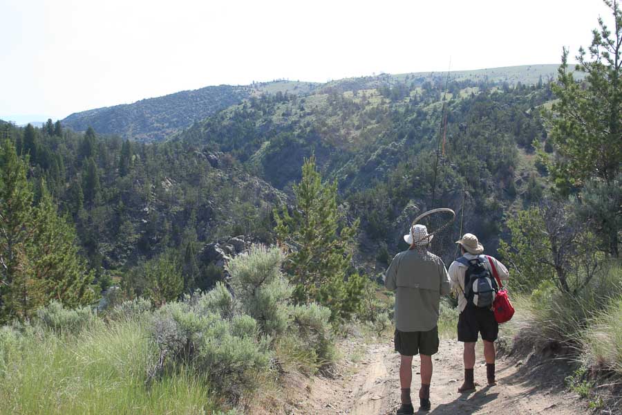 hiking willow creek montana creek fishing