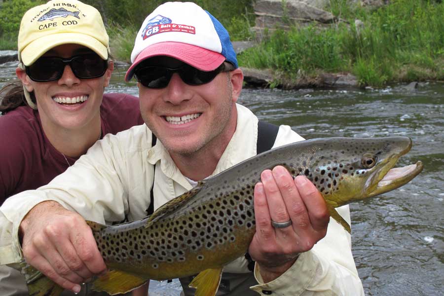 large brown trout big willow creek browntrout