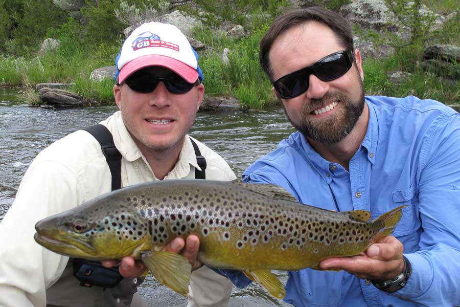 big brown trout willow creek brown trout