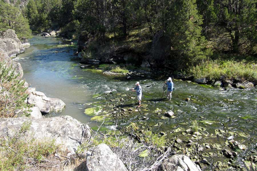 guided fly fishing guided trout fishing